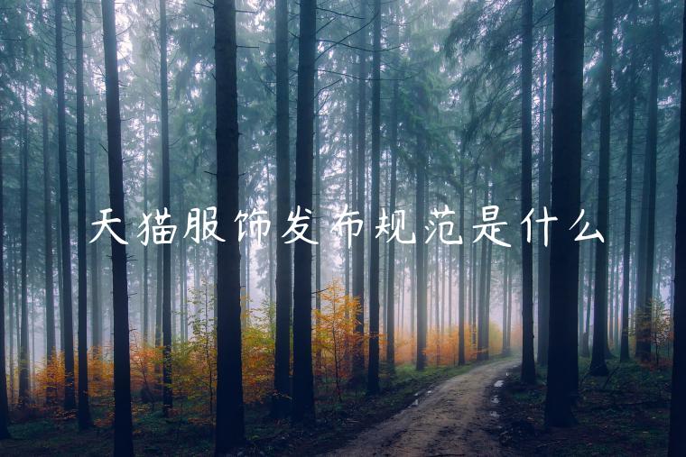 天貓服飾發(fā)布規(guī)范是什么